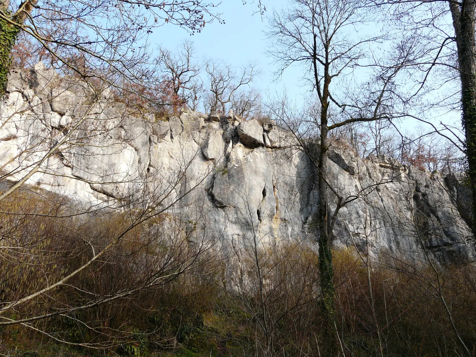 Stage tous niveaux - Escalade en falaise