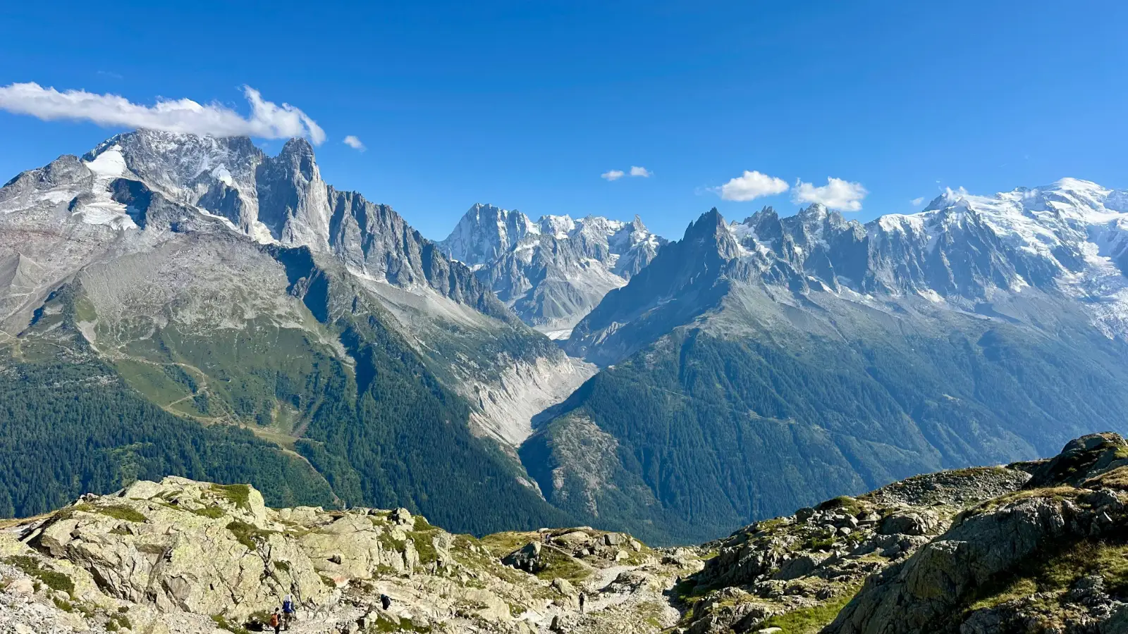 🏔️ « Pour avoir trop rêvé… Kiwi a pris son envol ! » 🥝