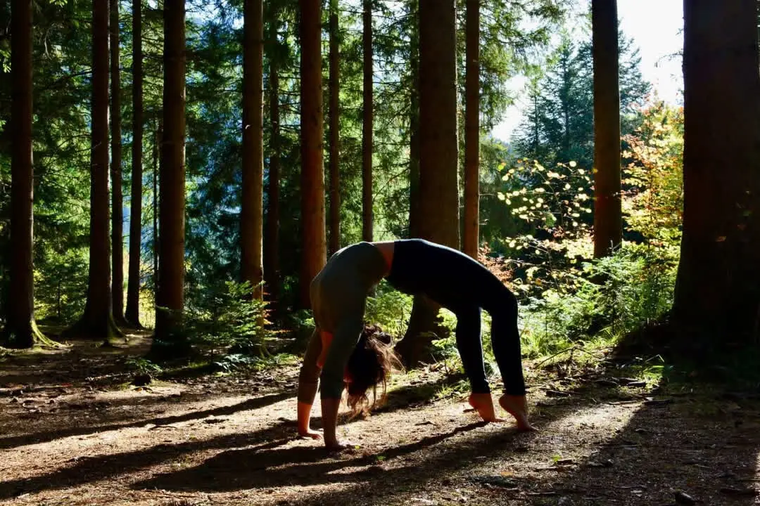 Grimper vers Soi : Escalade, Yoga & Méditation
