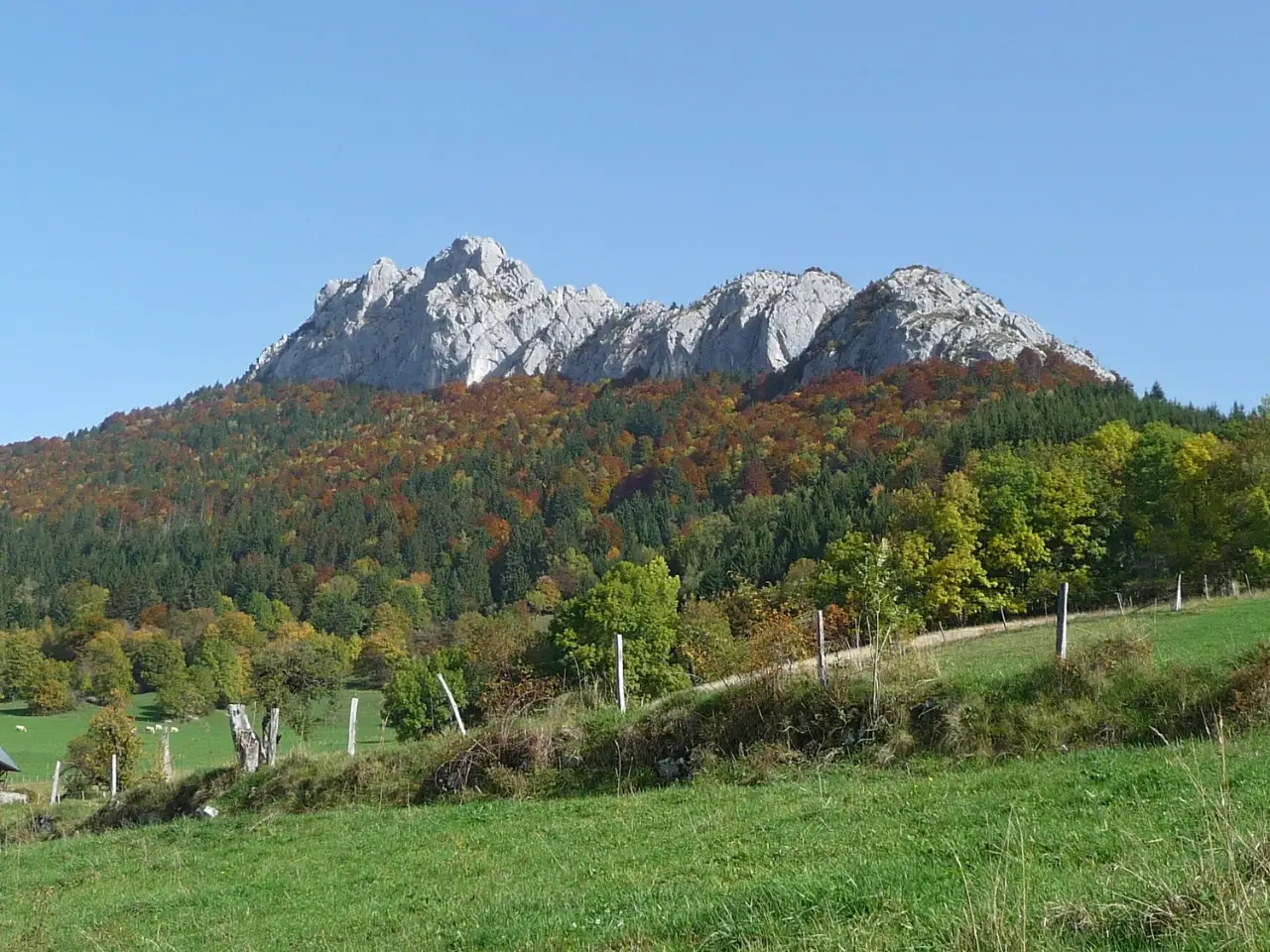 Entre lac et montagne