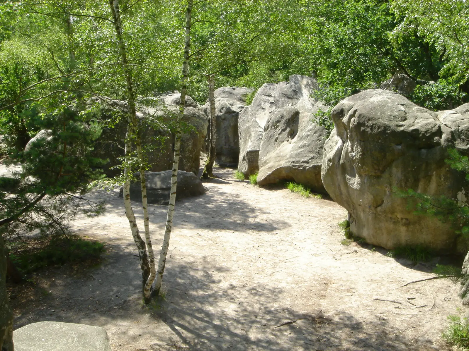 De la salle au rocher de Fontainebleau